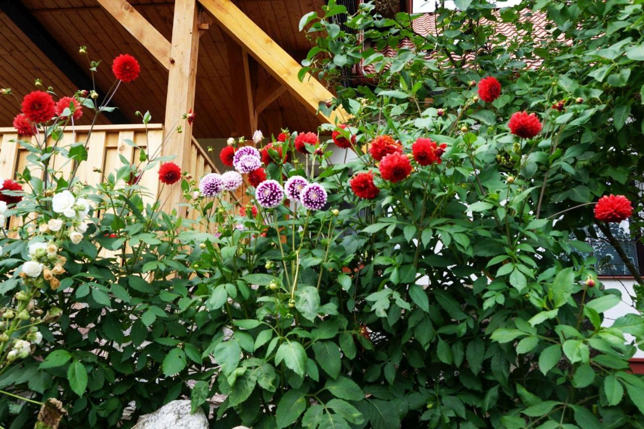 Warminskie Uroczysko Villa Rasząg Dış mekan fotoğraf